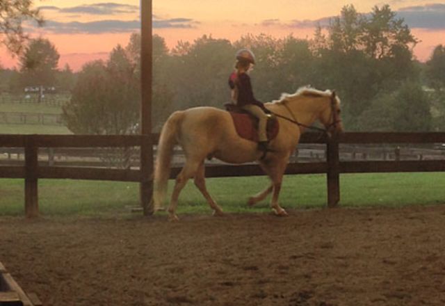 horseback_riding.JPG