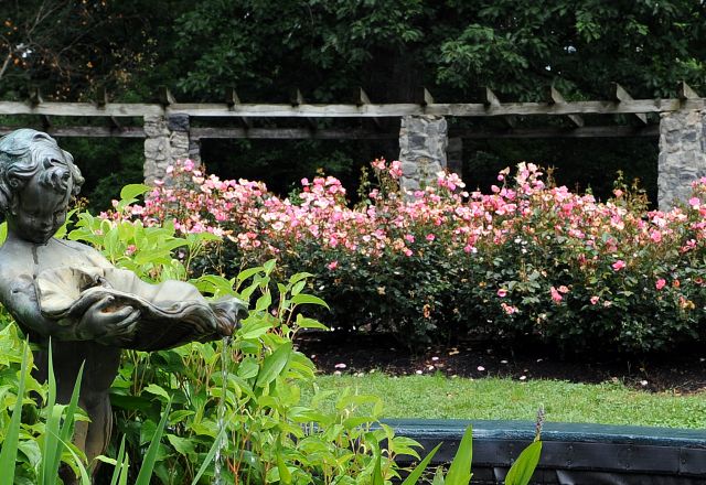 gardens.JPG