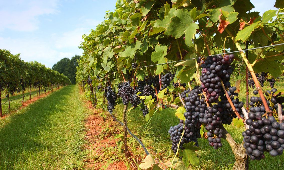 Wineries