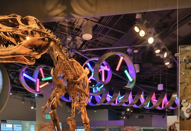 Dinosaur skeleton exhibit at the North Carolina Museum of Natural Sciences in Raleigh.