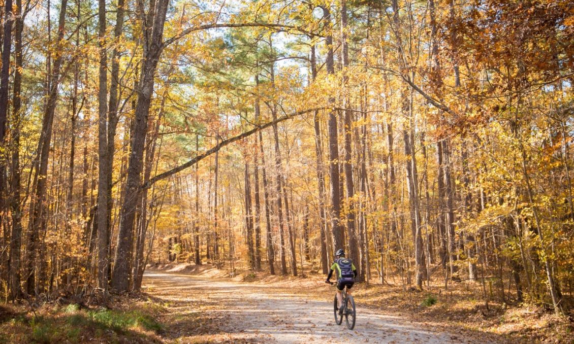 Fall Biking