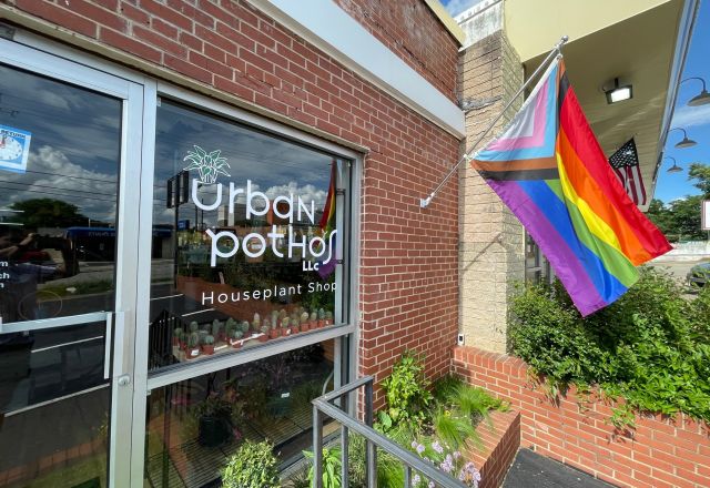 Urban Pothos storefront in Raleigh, rainbow pride flag outside brick building entrance, and houseplant window display greenery.