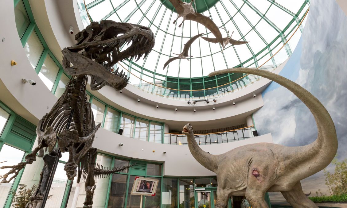 North Carolina Museum of Natural Sciences