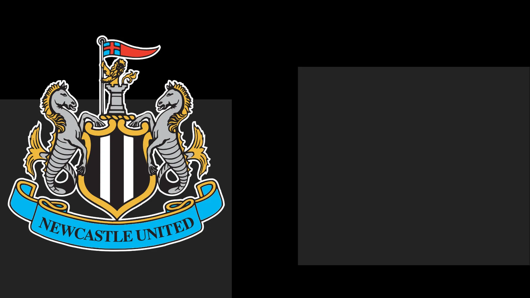 NUFC Extend Formal Apology to Supporters Over Matchday Controversy