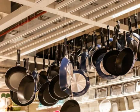 Non-Stick Eating, Aromatic Lactation and Zebra Cows Excel at 2025 Alternative Science Prizes